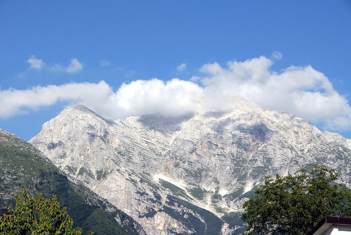 Licence: https://commons.wikimedia.org/wiki/File:Resiatal_Monte_Canin_7072007_55.jpg
