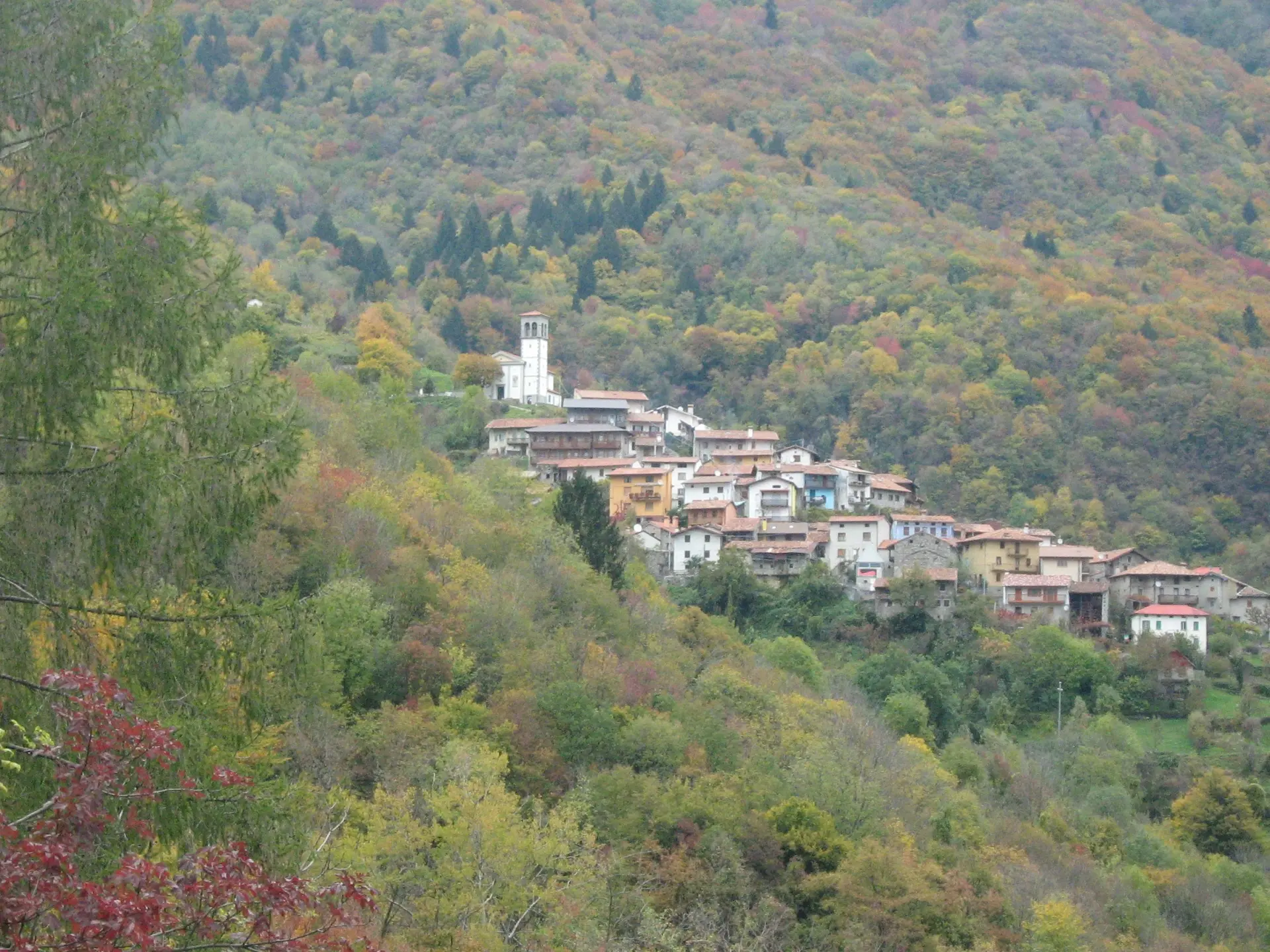 Topolò